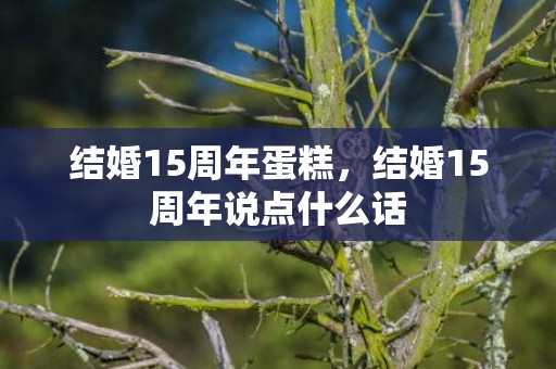 结婚15周年蛋糕，结婚15周年说点什么话