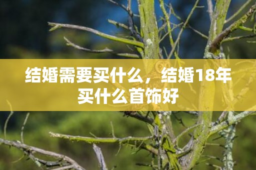 结婚需要买什么，结婚18年买什么首饰好