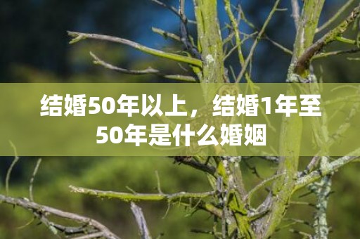 结婚50年以上，结婚1年至50年是什么婚姻