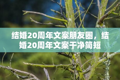 结婚20周年文案朋友圈，结婚20周年文案干净简短
