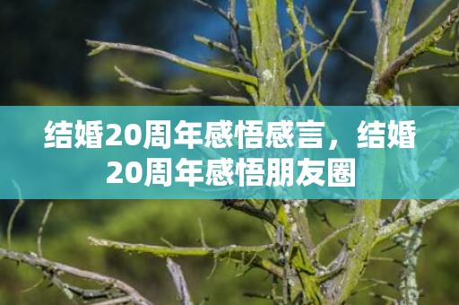 结婚20周年感悟感言，结婚20周年感悟朋友圈