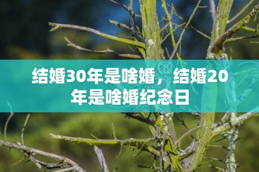 结婚30年是啥婚，结婚20年是啥婚纪念日