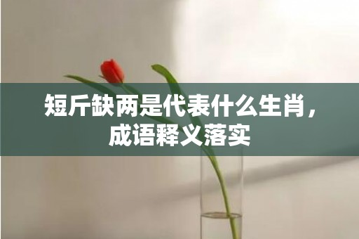 短斤缺两是代表什么生肖，成语释义落实