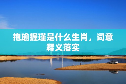 抱瑜握瑾是什么生肖，词意释义落实