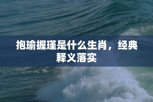 抱瑜握瑾是什么生肖，经典释义落实