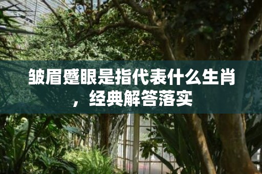 皱眉蹙眼是指代表什么生肖，经典解答落实
