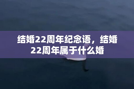 结婚22周年纪念语，结婚22周年属于什么婚