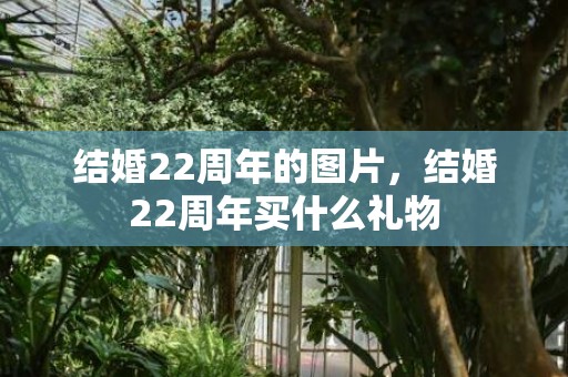 结婚22周年的图片，结婚22周年买什么礼物
