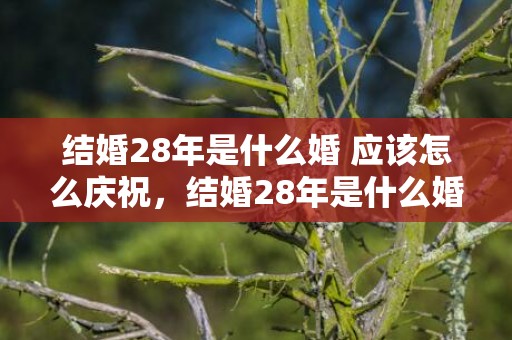 结婚28年是什么婚 应该怎么庆祝，结婚28年是什么婚姻呢