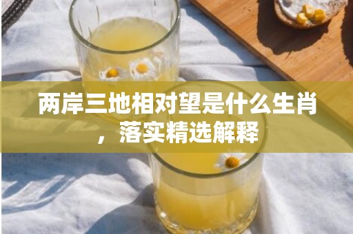 两岸三地相对望是什么生肖，落实精选解释
