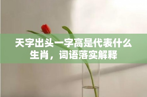 天字出头一字高是代表什么生肖，词语落实解释