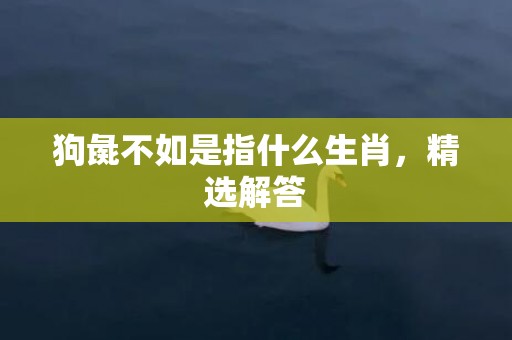 狗彘不如是指什么生肖，精选解答