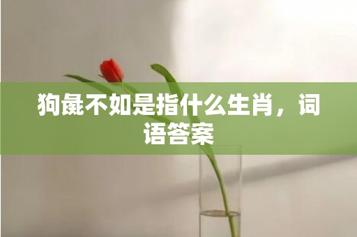 狗彘不如是指什么生肖，词语答案