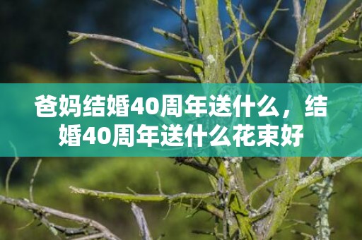 爸妈结婚40周年送什么，结婚40周年送什么花束好
