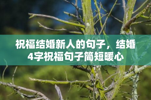 祝福结婚新人的句子，结婚4字祝福句子简短暖心