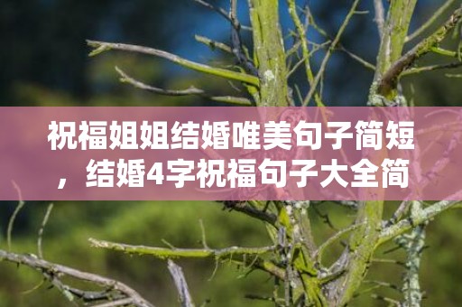祝福姐姐结婚唯美句子简短，结婚4字祝福句子大全简短