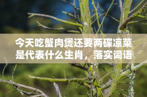 今天吃蟹肉煲还要两碟凉菜是代表什么生肖，落实词语解释