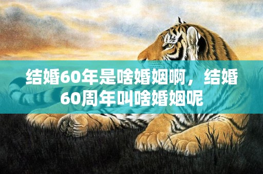 结婚60年是啥婚姻啊，结婚60周年叫啥婚姻呢