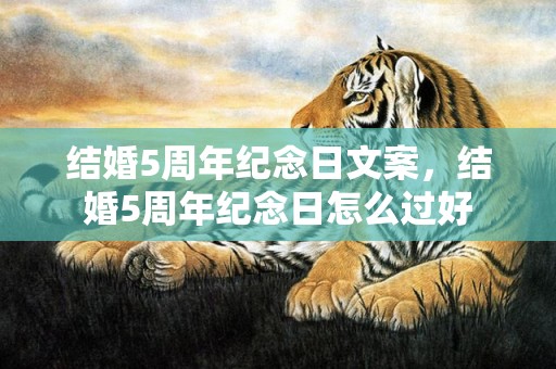 结婚5周年纪念日文案，结婚5周年纪念日怎么过好