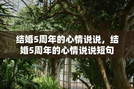 结婚5周年的心情说说，结婚5周年的心情说说短句