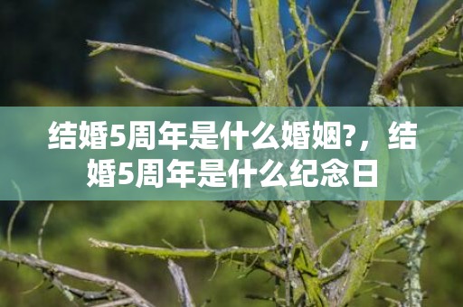 结婚5周年是什么婚姻?，结婚5周年是什么纪念日