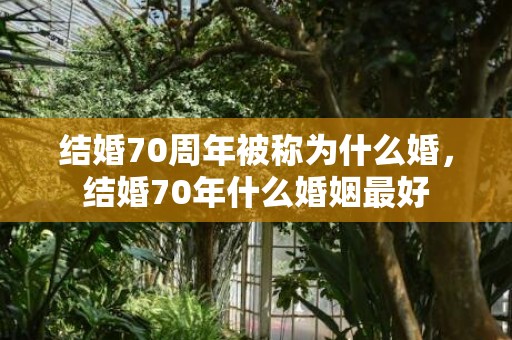 结婚70周年被称为什么婚，结婚70年什么婚姻最好