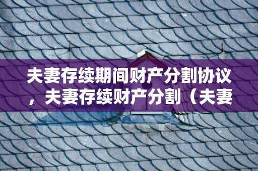 夫妻存续期间财产分割协议，夫妻存续财产分割（夫妻关系存续分割共同财产）