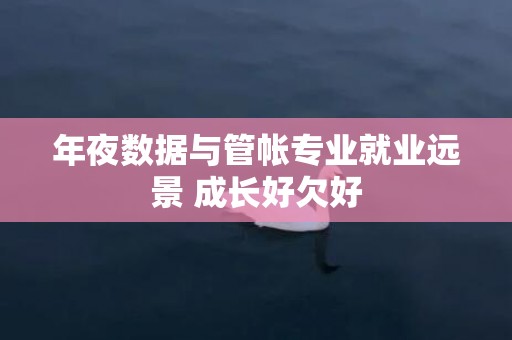 年夜数据与管帐专业就业远景 成长好欠好