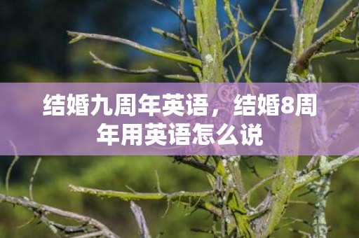 结婚九周年英语，结婚8周年用英语怎么说