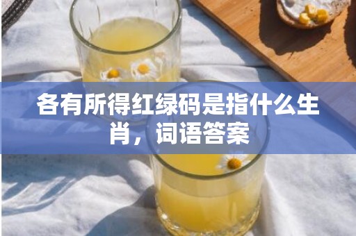 各有所得红绿码是指什么生肖，词语答案