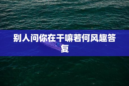 别人问你在干嘛若何风趣答复