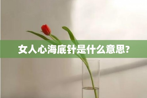 女人心海底针是什么意思?