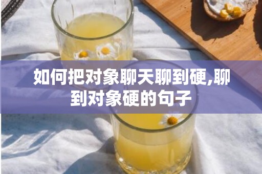 如何把对象聊天聊到硬,聊到对象硬的句子