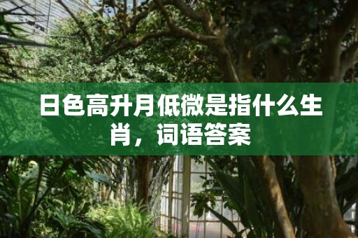 日色高升月低微是指什么生肖，词语答案