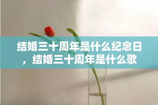 结婚三十周年是什么纪念日，结婚三十周年是什么歌