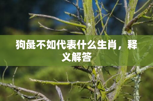 狗彘不如代表什么生肖，释义解答