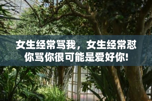 女生经常骂我，女生经常怼你骂你很可能是爱好你!