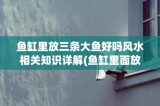 鱼缸里放三条大鱼好吗风水相关知识详解(鱼缸里面放石头好还是不放好)