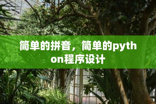 简单的拼音，简单的python程序设计