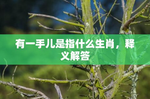 有一手儿是指什么生肖，释义解答
