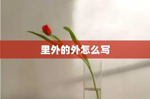 里外的外怎么写