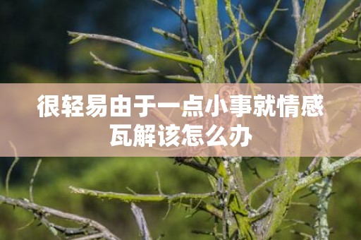 很轻易由于一点小事就情感瓦解该怎么办