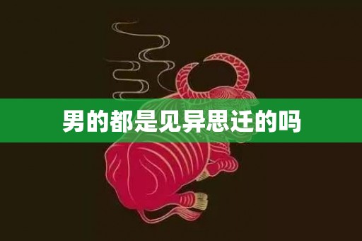 男的都是见异思迁的吗
