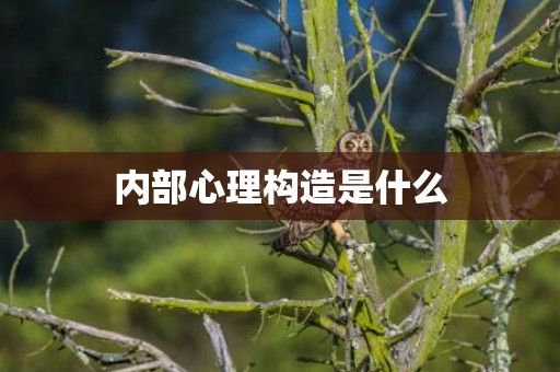 内部心理构造是什么