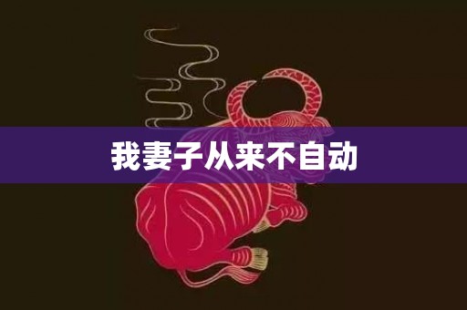 我妻子从来不自动