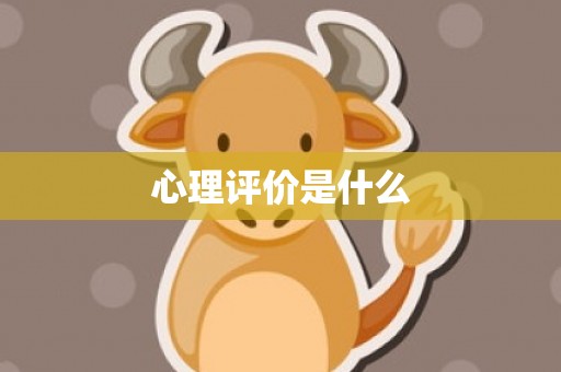 心理评价是什么