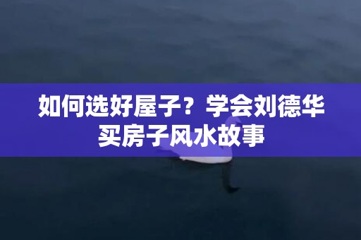 如何选好屋子？学会刘德华买房子风水故事