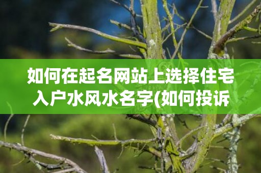 如何在起名网站上选择住宅入户水风水名字(如何投诉起名网站)