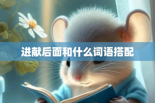 进献后面和什么词语搭配