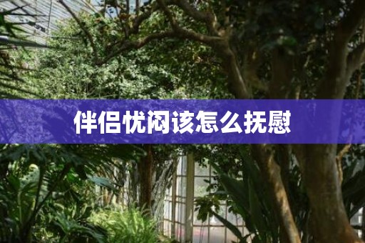 伴侣忧闷该怎么抚慰